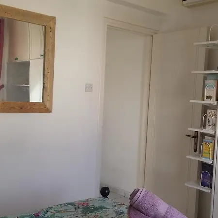 Athena And The Owl Beachside