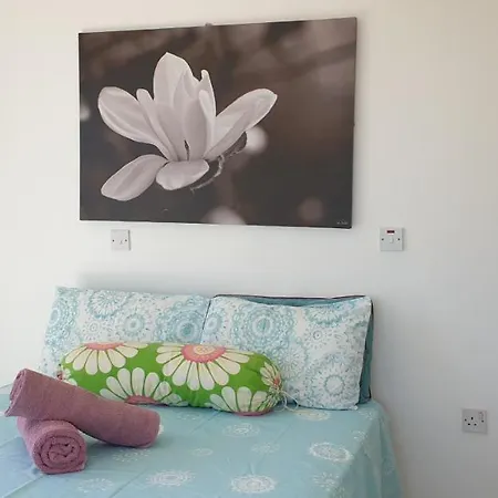 Athena And The Owl Beachside B&B