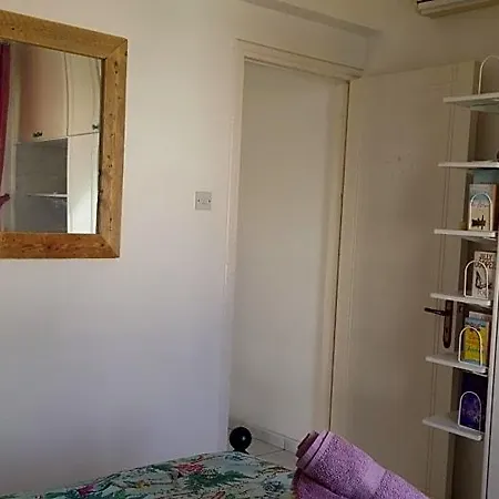 Athena And The Owl Beachside Bed & Breakfast Paphos