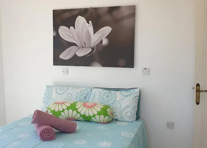 Athena And The Owl Beachside Panzió