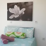 Athena And The Owl Beachside Bed & Breakfast