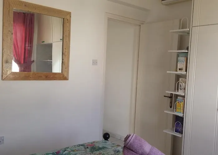 Athena And The Owl Beachside