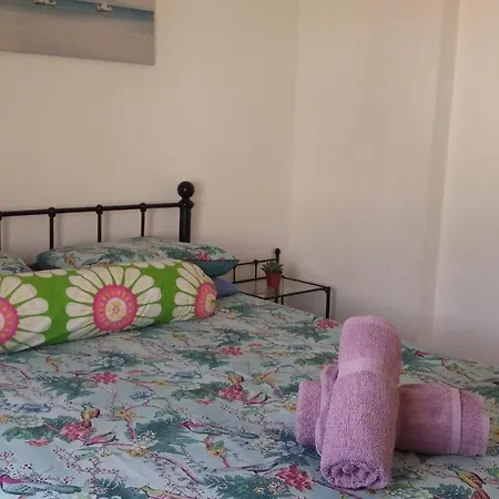 Athena And The Owl Beachside B&B 파포스